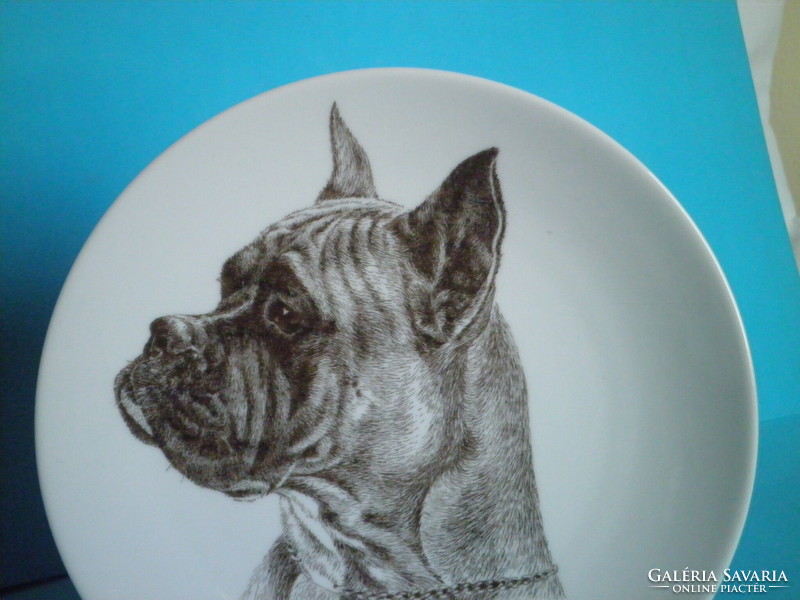 Bavaria porcelán boxer kutya falitányér