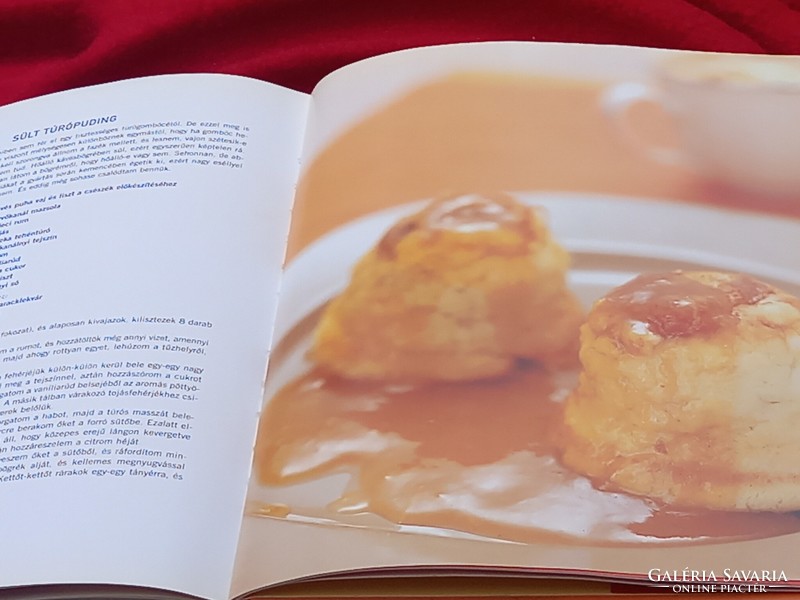 Judit Stahl's cookbook: something delicious quickly!