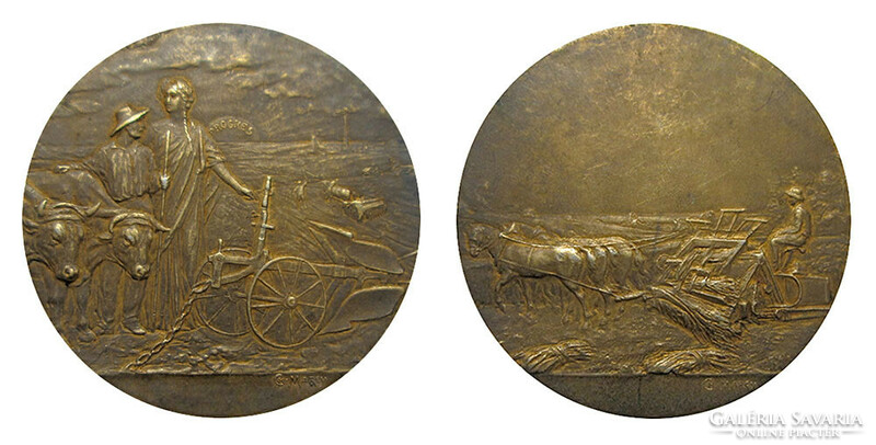 Charles marey: French economic prize medal ~1920