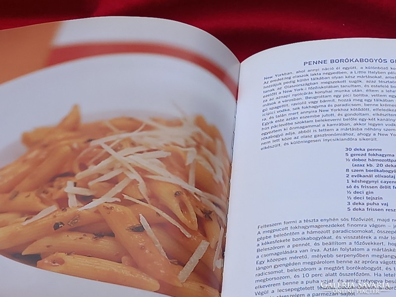 Stahl Judit szakácskönyv: Gyorsan valami finomat!