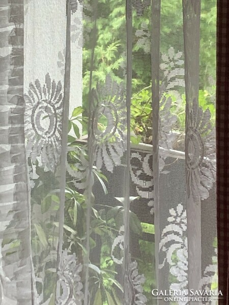 Lace curtains with ruffled, rose pattern, in a pair