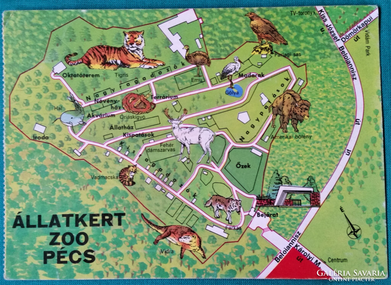 Térképes képeslap - Állatkert Pécs,használt
