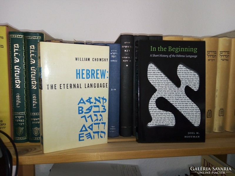 Hebrew - the eternal language + in the beginning - the history of the Hebrew language