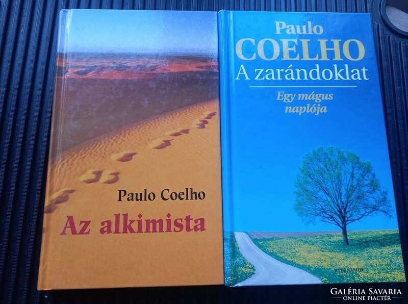 Coelho book - in new condition, also as a gift