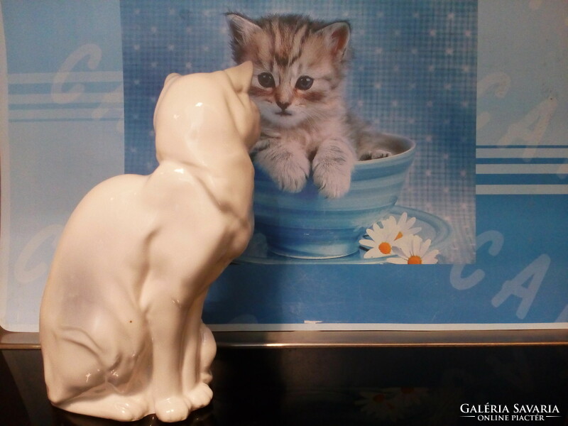 Ravenhouse kitten/cat, old porcelain