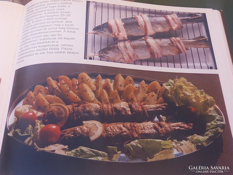 Szakácskönyv, nyári grillezéshez retro szakácskönyv