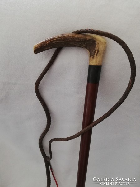 Leather driving whip, 1902, marked iabe with antler handle