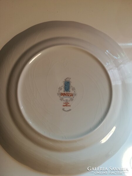 Spanyol porcelán tányér, 26 cm átmérőjű színes madár motívummal