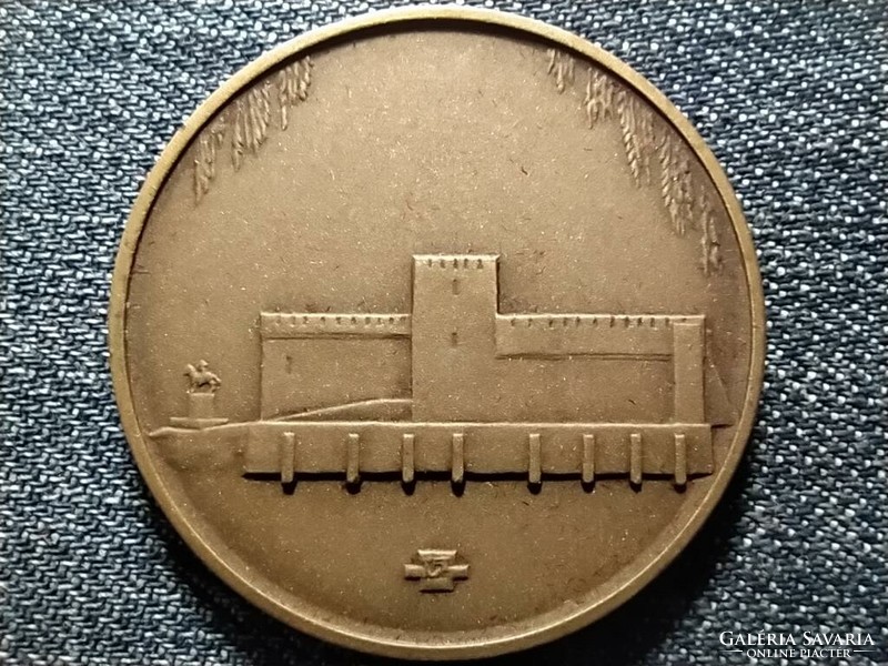Gyula Castle Theater Bronze Commemorative Medal (id41221)