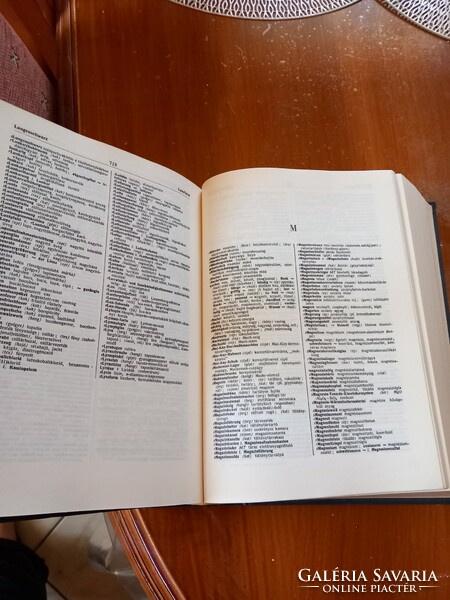 German-Hungarian technical dictionary 1973
