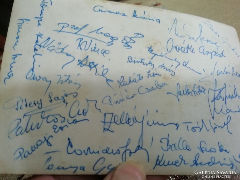 Krásna horka 1964 with many signatures on the back