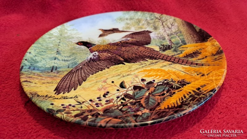 Pheasant bird porcelain decorative plate, hunting plate (m3841)