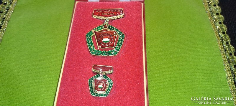 The company's excellent brigade with plaque + badge mini in a box
