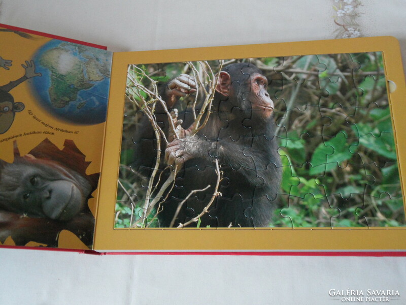 Ismerkedj az állatokkal PUZZLE könyv, A majom
