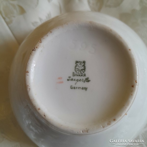 German Bavarian sprinkled flower tea cup