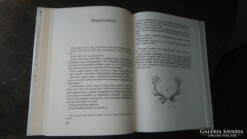 1979 Gondolat-posthumous first edition Zsigmond Széchényi: on the trail of deer! Extra collector's cover!