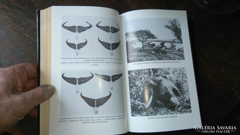 KITTENBERGER KÁLMÁN: AFRIKAI VADÁSZKÖNYV 1986 KENTAUR első kiadás ezen a cimen