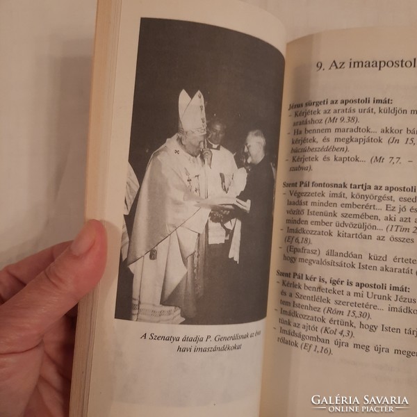 P. Hevenesi János: Akit keresztülszúrtak    Jézus Társasága Magyar Rendtartománya 1990