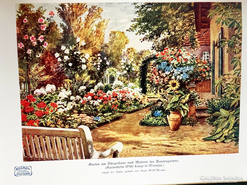 A kert és növényei, 1913 - Willy Lange német kertművész gazdagon illusztrált antik könyve