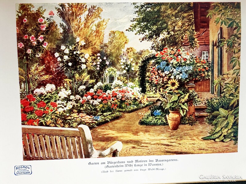 The garden and its plants, 1913 - a richly illustrated antique book