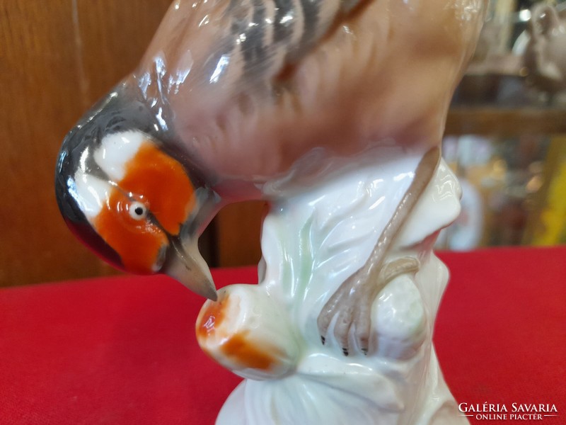 German, germany unterweissbach bird porcelain figurine. 12 Cm.