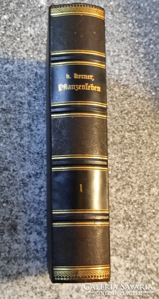 Pflanzenleben - plant life. First volume: the form and life of plants. 1900. 3. Thoroughly processed..