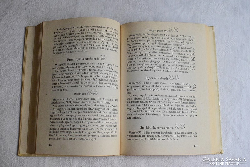 The family cookbook, f. Nagy Angela Minerva 1981 cook recipe book
