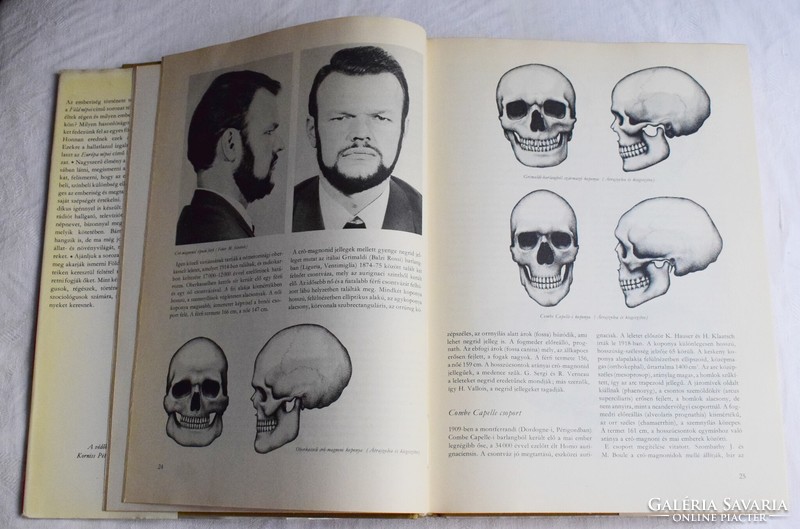 Kiszely István A Föld népei Európa Gondolat 1979 könyv ismeretterjesztő lexikon