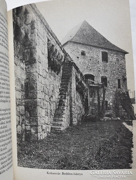 Gábor Kiss: Transylvanian castles, castles