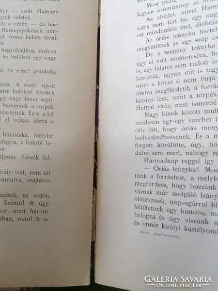 1909 Antik mesekönyv "Zörgő harasztok" Farkasfalvi Mauks Cornélia