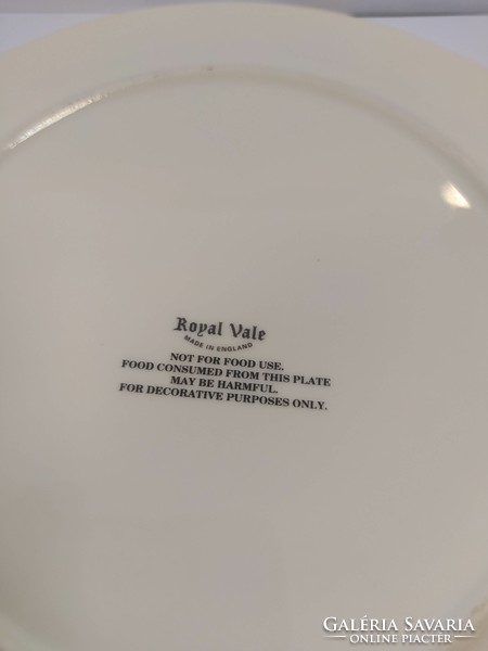Royal Vale English porcelain teddy bear plate