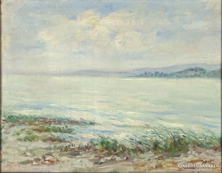 1N257 Hungarian painter xx. Century: Balaton landscape