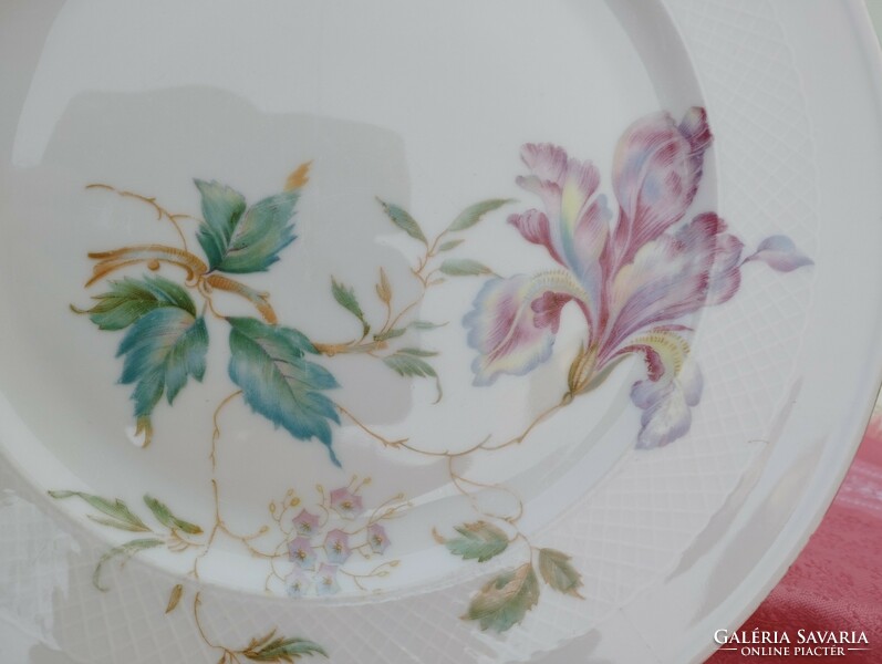 Beautiful flower-patterned porcelain large flat bowl, plate