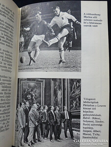 Zoltán Antal, József Hoffer: from Albert to sack. National football team book