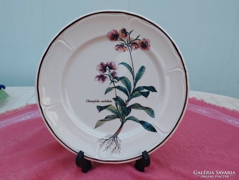 Plant-based porcelain large flat serving bowl, centerpiece