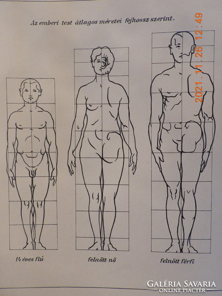 John Stein - Art Dissection