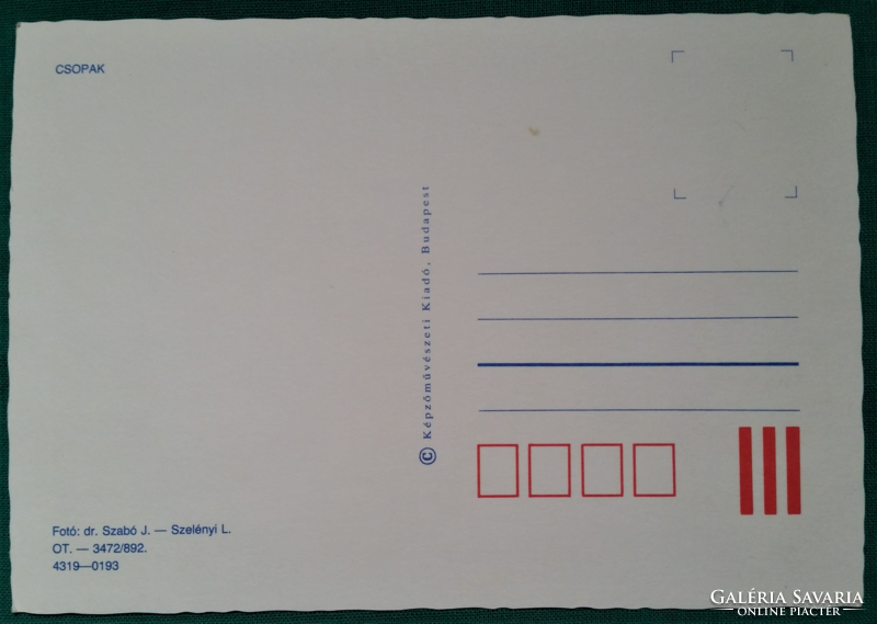 Balaton, small details, postmarked postcard, 1989