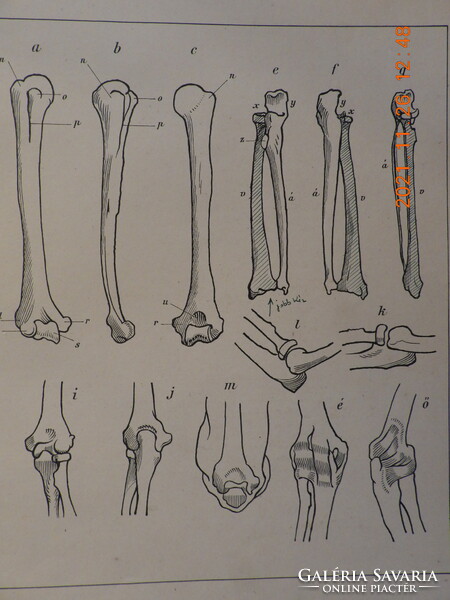 John Stein - Art Dissection