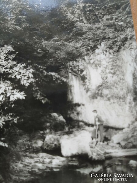 Bakony landscape, Cuha Valley, from 1960