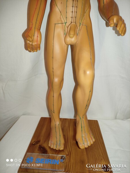 Vintage seirin 66cm medical naturopathy acupuncture points mannequin hollow rubber statue