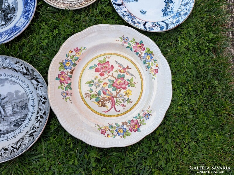 Gyönyörű fajansz tányérok tányér Villeroy&Boch Dresden Fenton , Irons Tone China Chusan