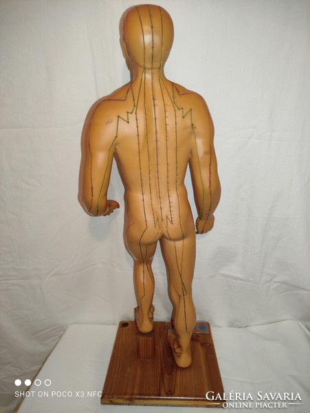 Vintage seirin 66cm medical naturopathy acupuncture points mannequin hollow rubber statue