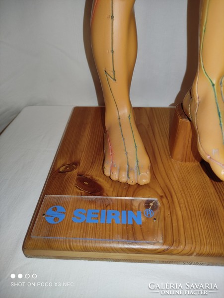 Vintage seirin 66cm medical naturopathy acupuncture points mannequin hollow rubber statue