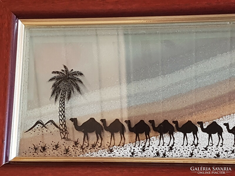 Camels in the oasis, picture