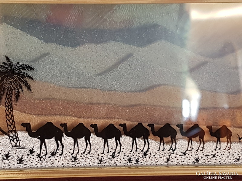 Camels in the oasis, picture