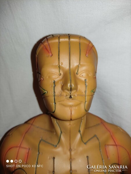 Vintage SEIRIN 66 cm magas  akupunktúrás pontokat jelölő férfi baba üreges gumiból egészség szobor