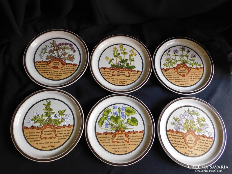 Vintage gyógy- és fűszernövényes botanikai dekoros tányérkészlet - 6 darab -  19.5 cm.