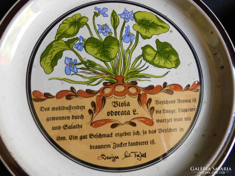 Vintage herb and herb botanical decor plate set - 6 pieces - 19.5 Cm.