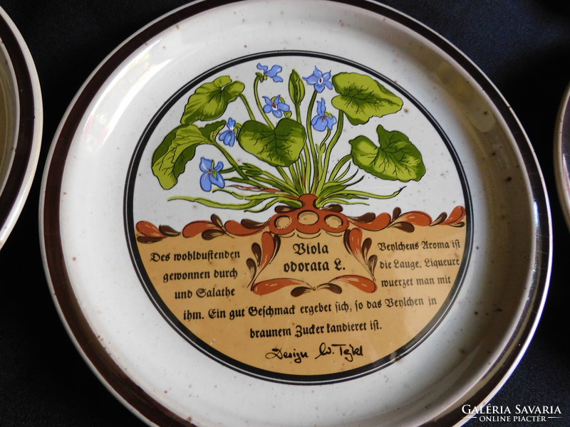 Vintage gyógy- és fűszernövényes botanikai dekoros tányérkészlet - 6 darab -  19.5 cm.