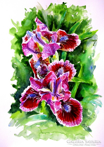 Iris ii - watercolor painting / iris - watercolor painting